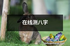 在线测八字