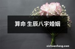 算命 生辰八字婚姻