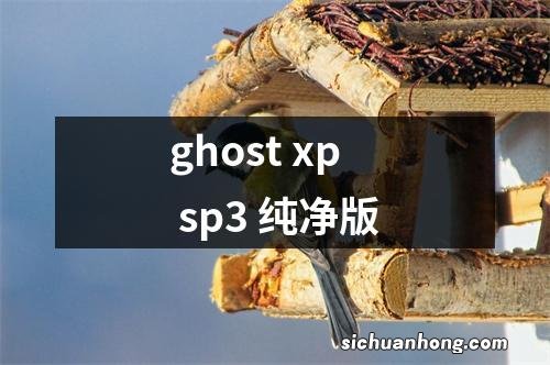 ghost xp sp3 纯净版