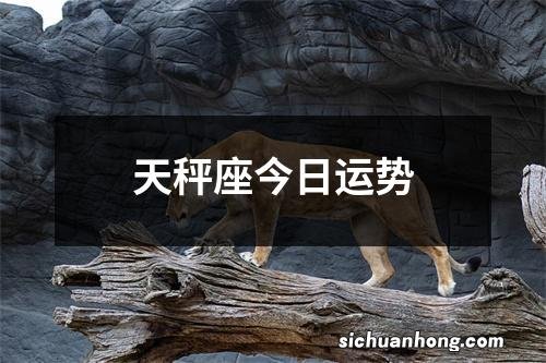 天秤座今日运势