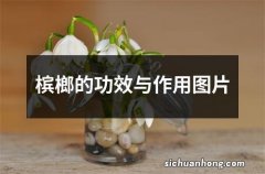 槟榔的功效与作用图片