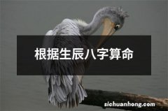 根据生辰八字算命