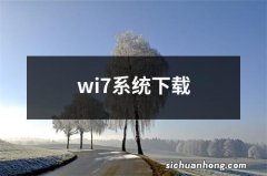 wi7系统下载