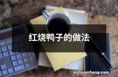 红烧鸭子的做法