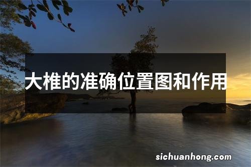 大椎的准确位置图和作用