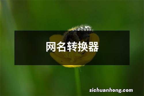 网名转换器