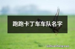 跑跑卡丁车车队名字