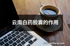 云南白药胶囊的作用