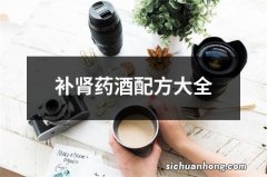 补肾药酒配方大全