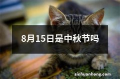 8月15日是中秋节吗