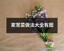 家常菜做法大全有图