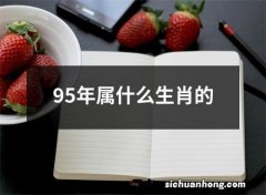 95年属什么生肖的