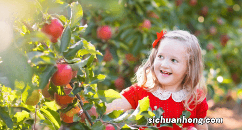 下雨天摘水果会不会容易烂