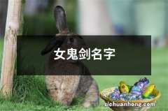 女鬼剑名字