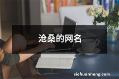 沧桑的网名