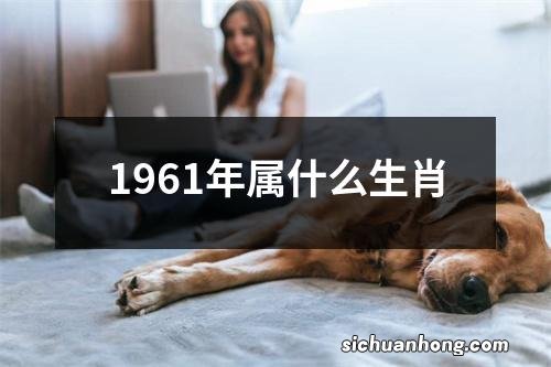 1961年属什么生肖