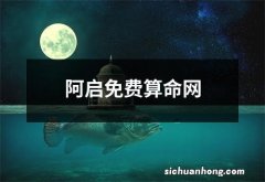 阿启免费算命网