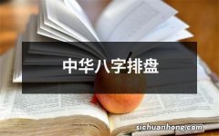 中华八字排盘