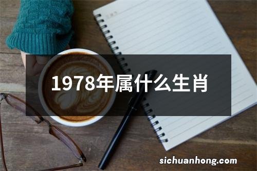 1978年属什么生肖