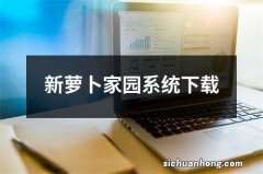 新萝卜家园系统下载