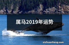 属马2019年运势