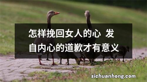 怎样挽回女人的心发自内心的道歉才有意义