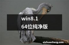 win8.1 64位纯净版