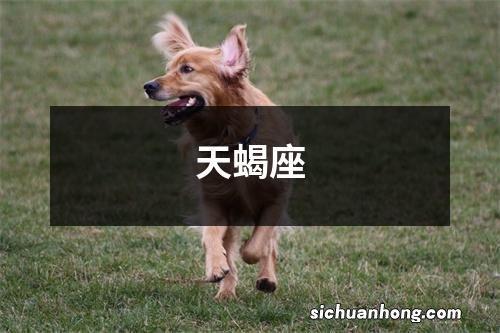 天蝎座