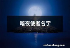 暗夜使者名字