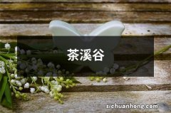 茶溪谷