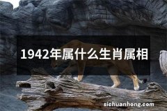 1942年属什么生肖属相