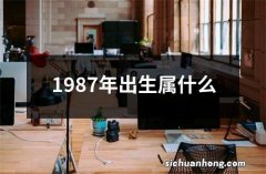 1987年出生属什么