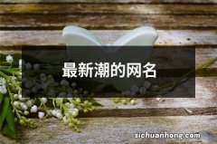 最新潮的网名