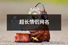 超长情侣网名