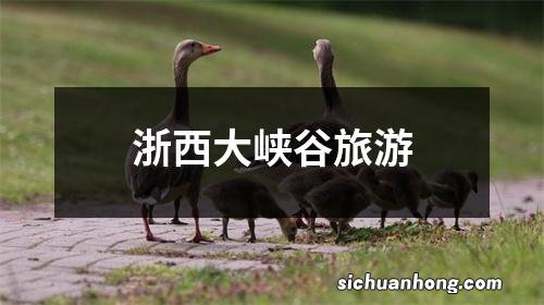 浙西大峡谷旅游