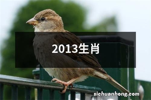 2013生肖