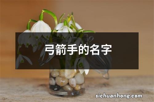 弓箭手的名字