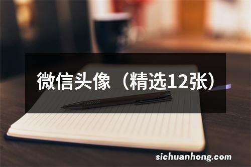 精选12张 微信头像