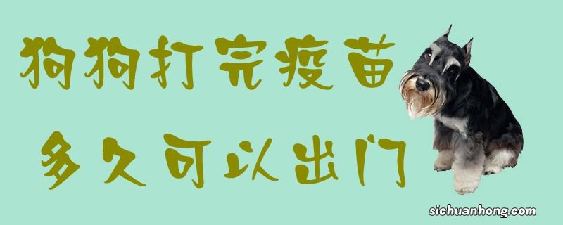狗狗打完疫苗多久可以出门