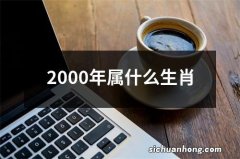 2000年属什么生肖