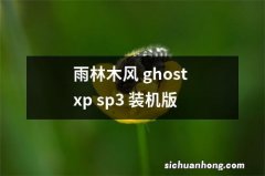 雨林木风 ghost xp sp3 装机版