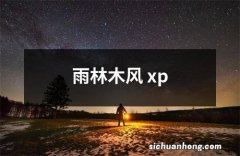 雨林木风 xp