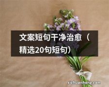 精选20句短句 文案短句干净治愈