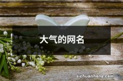 大气的网名