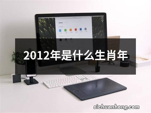 2012年是什么生肖年