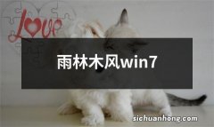 雨林木风win7