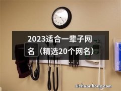 精选20个网名 2023适合一辈子网名