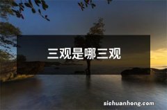 三观是哪三观