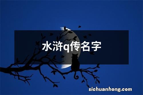 水浒q传名字