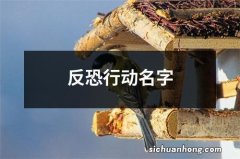 反恐行动名字